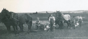 Farming with horses / L'agriculture avec chevaux