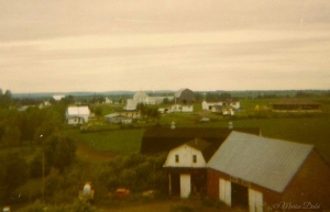 St-André Ouest / West 1979