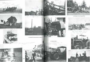 Agriculture page 3