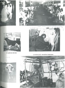 Agriculture Page 5